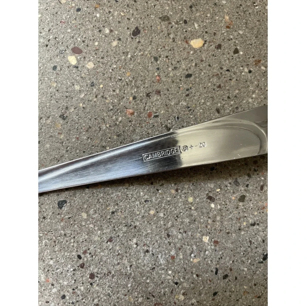 Teaspoon Mena Frost Cambridge Stainless‎ Glossy Swirls